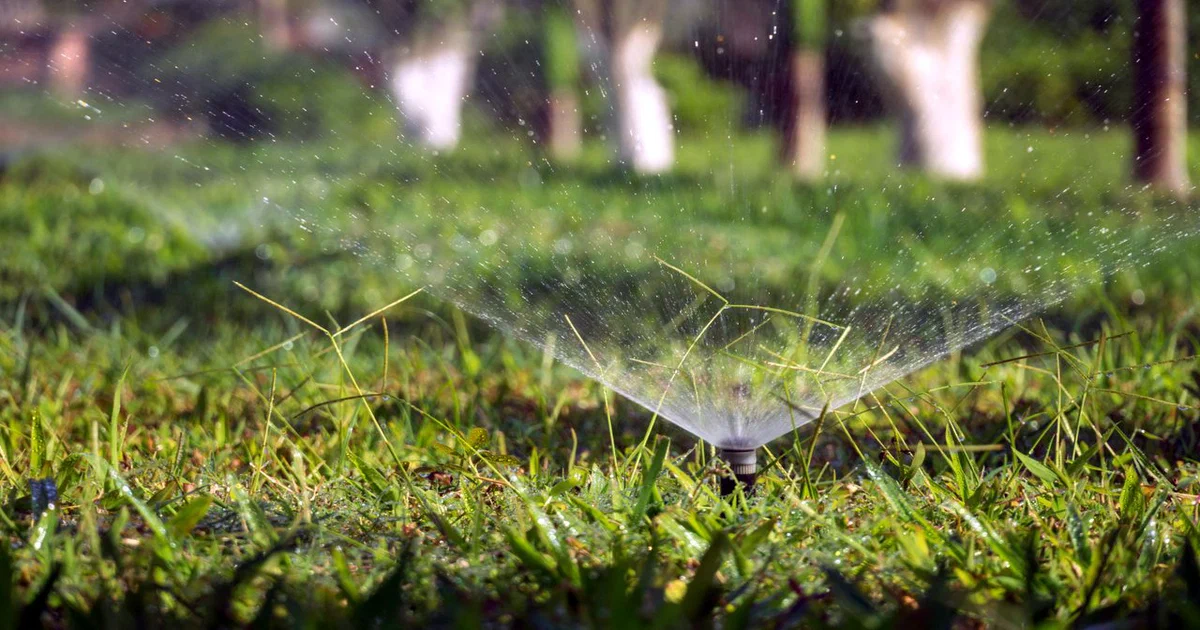 Arrosage Automatique de Pelouse : Tout Ce Qu'il Faut Savoir