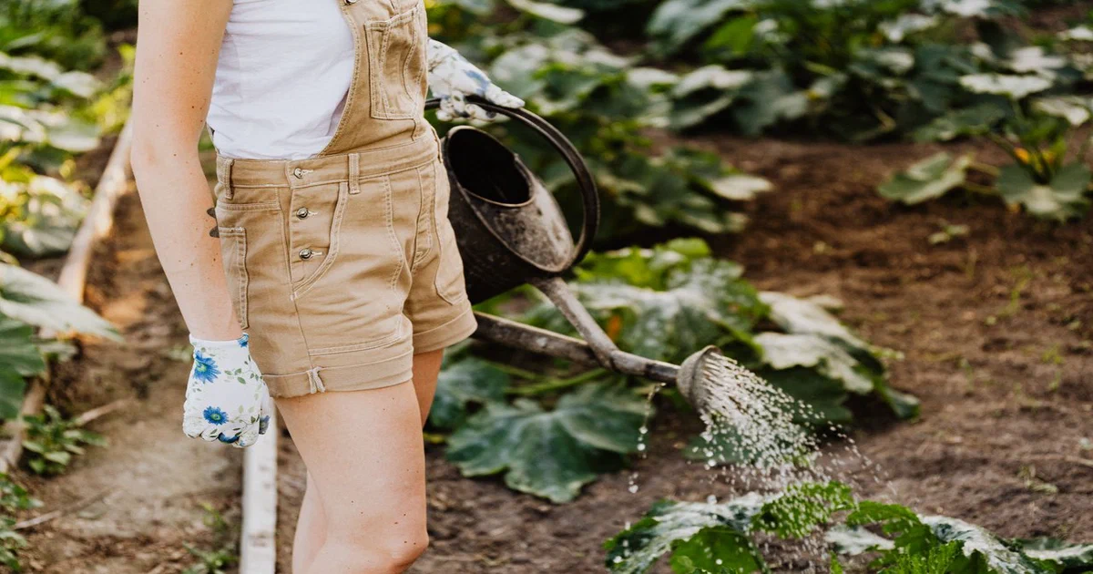 Arrosage Autonome : Solutions pour un Jardin Sans Effort